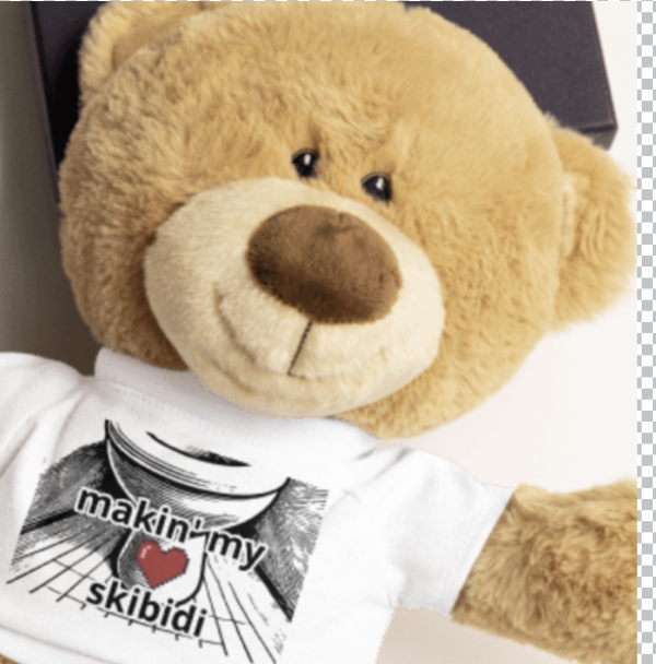Makin' My Heart Skibidi Teddy Bear With a T-Shirt